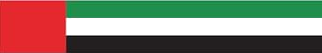 UAE Flag